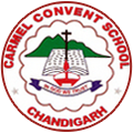 Carmel Convent School